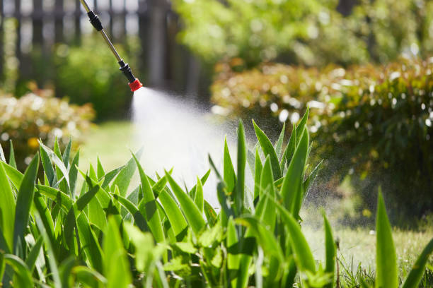 24/7 Emergency Fumigation Services experts in La Selva Beach, CA