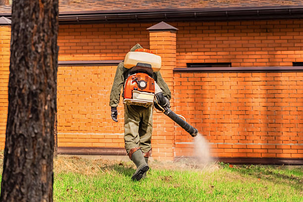Trusted Termite Control service in La Selva Beach, CA - Nex Pest Control